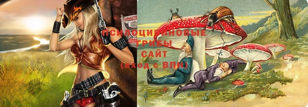 каннабис Богданович