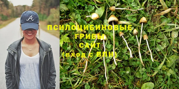ECSTASY Богородицк