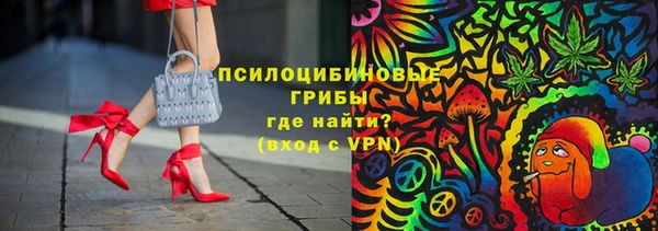 PSILOCYBIN Богородск
