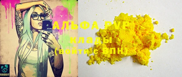ECSTASY Богородицк