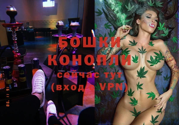 PSILOCYBIN Богородск
