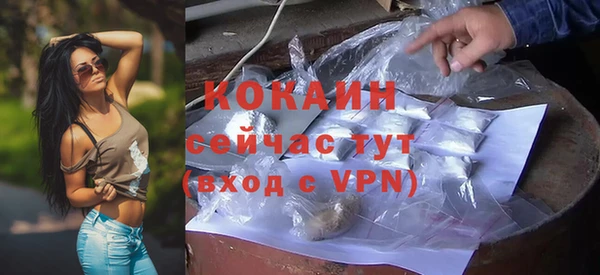 ECSTASY Богородицк