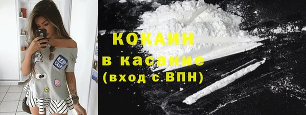 ECSTASY Богородицк