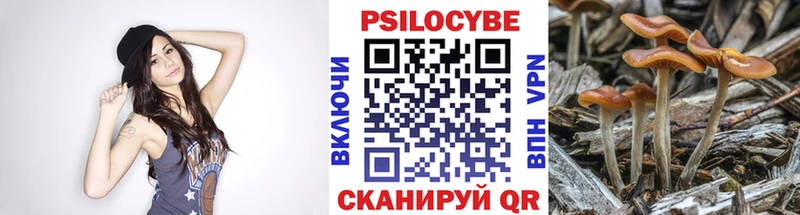 Галлюциногенные грибы мицелий  наркошоп  Онега 